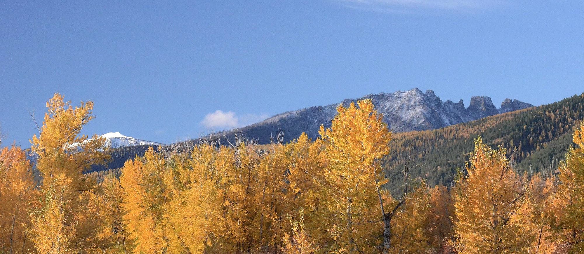 Autumn color below the Bitterroot Mountains near Florence, Montana