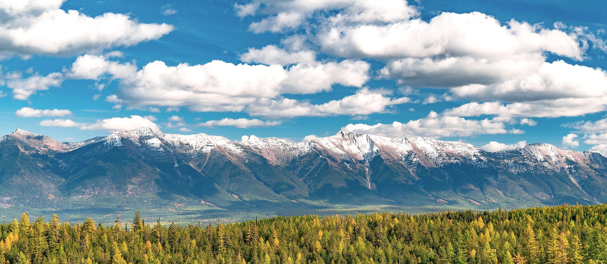 Snow on a mountain range above a ridge of western larch turning gold, Flathead National Forest, Montana